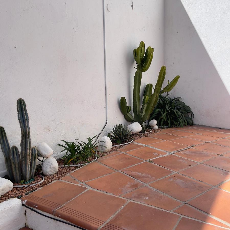 فندق Terra Aloe توريمولينوس المظهر الخارجي الصورة