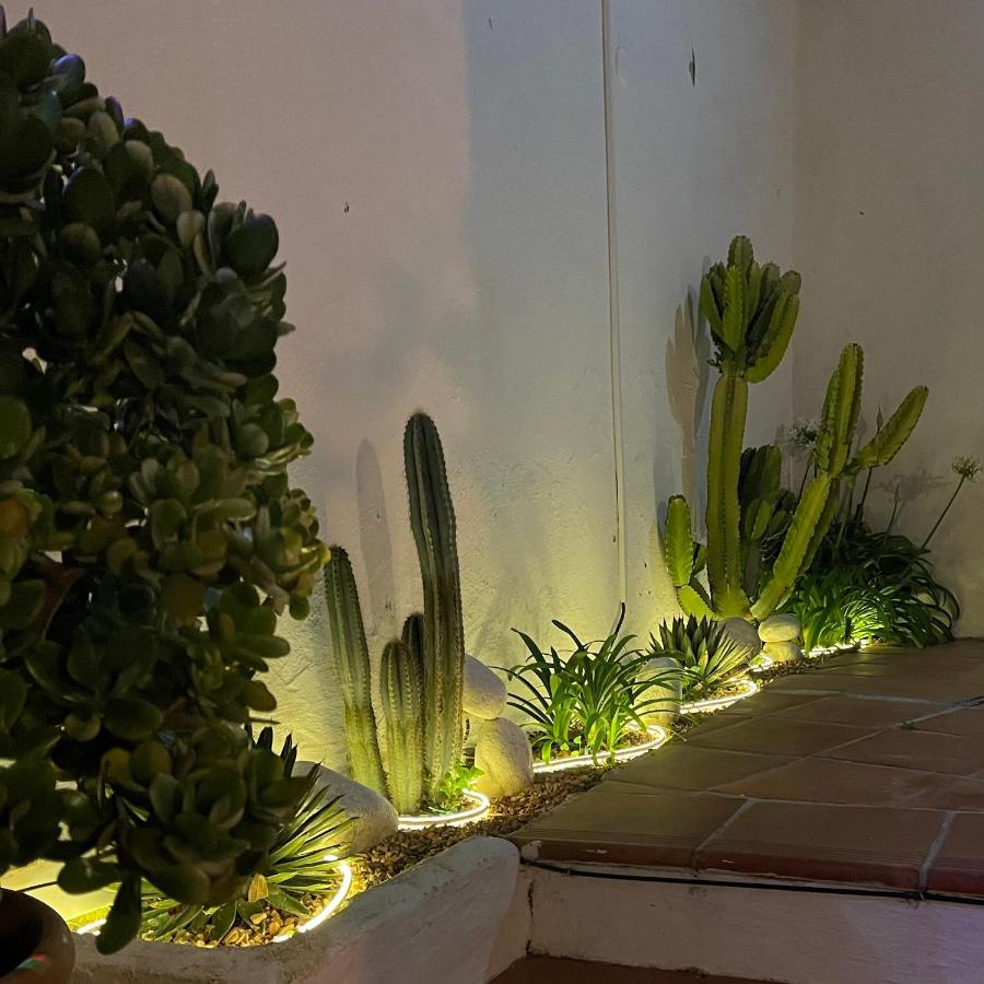 فندق Terra Aloe توريمولينوس المظهر الخارجي الصورة